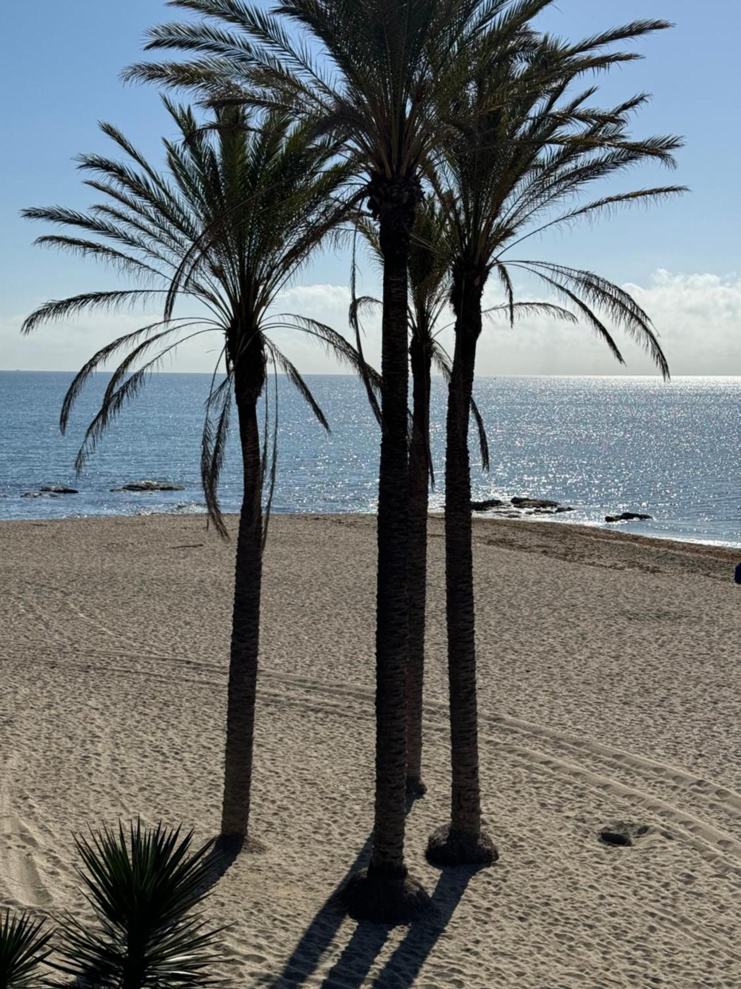 Brand New Studio Benalmádena Exteriör bild